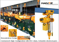 Small Capacity Electric Chain Hoist  with copmetitve price for daily using